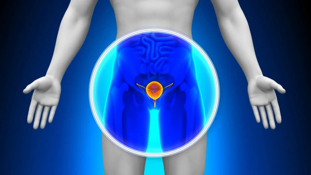 Jak się przygotować do badania USG prostaty - uniknij nieprzyjemności