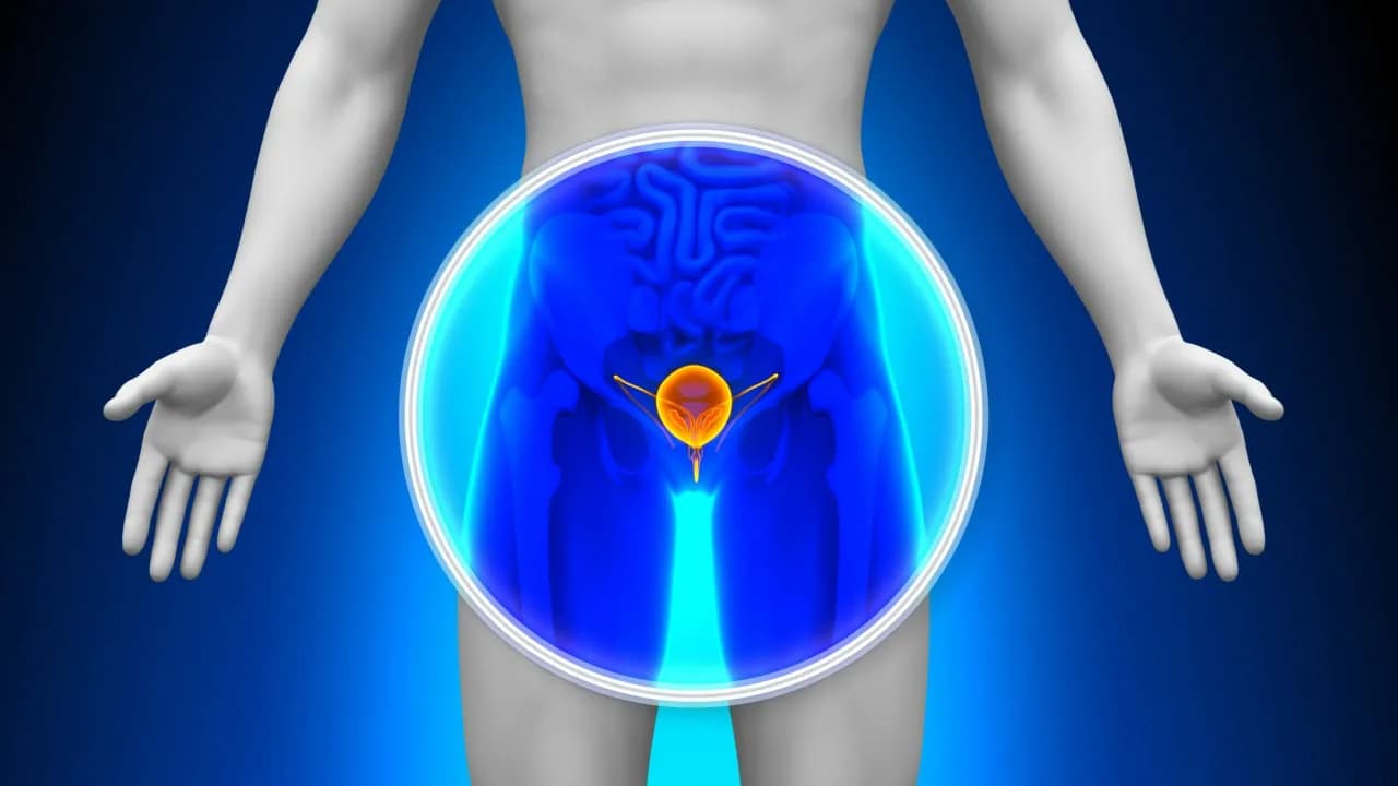 Jak się przygotować do badania USG prostaty - uniknij nieprzyjemności