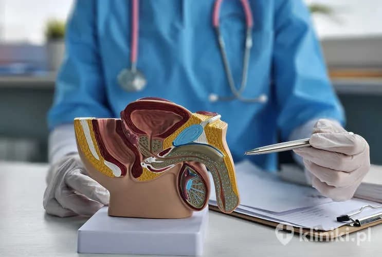 Czy rak prostaty jest dziedziczny? Poznaj ryzyko w rodzinie